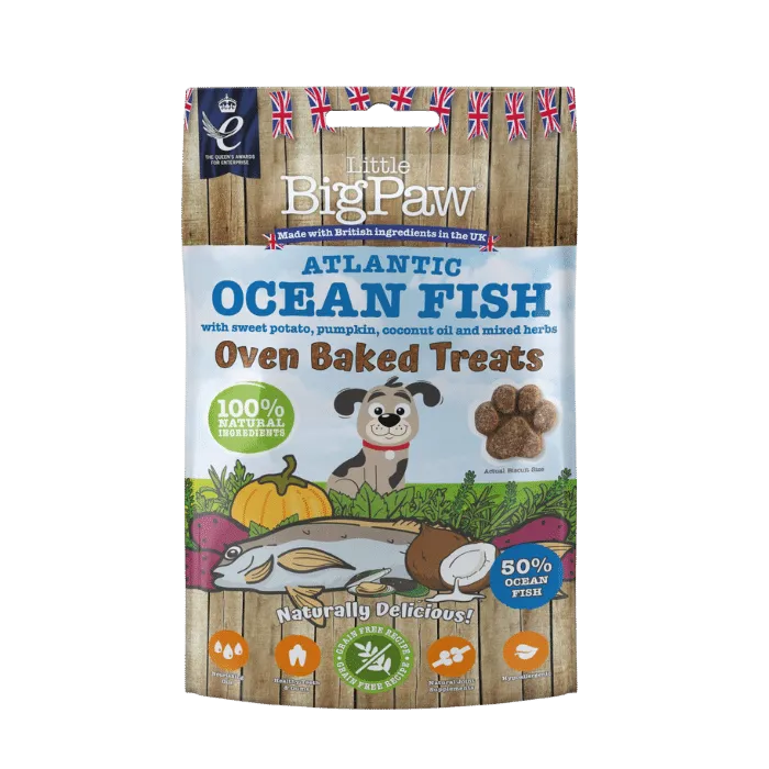 Atlantic Ocean Fish 130g