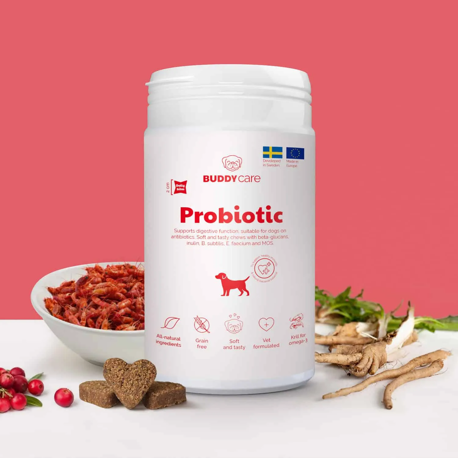 Buddy Pet Foods | Kosttillskott för hundar | Probiotic